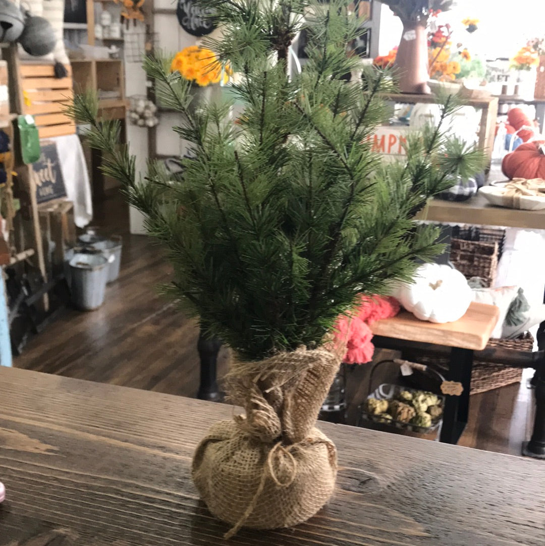 Tree, 2 ft tall with Burlap Base